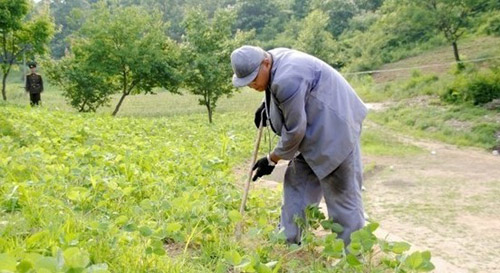 在朝鲜服刑美国人裴俊浩因身体原因被送医院(