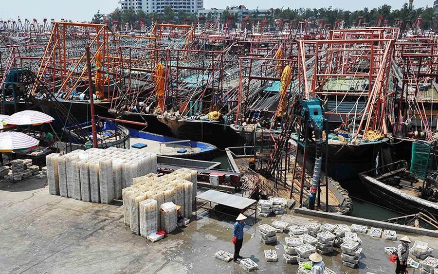 8月日,广西北海,侨港镇电建渔港停满回港躲避台风
