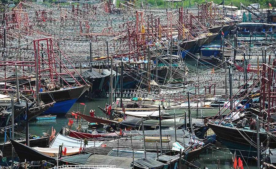 8月13日,广西北海,侨港镇电建渔港停满回港躲避台风"尤特"的渔船.