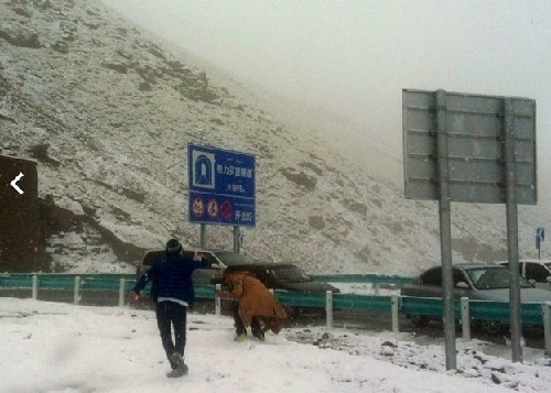 新疆八月飞雪 路人穿短袖打雪仗(图)