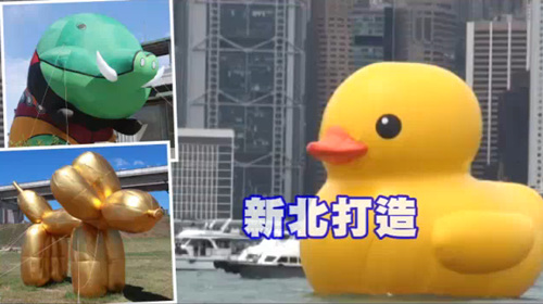 台湾新北市政府因争取不到“大黄鸭”，自行参考相关作品，打造高6米的“贵宾狗”与“山猪”。图自台媒