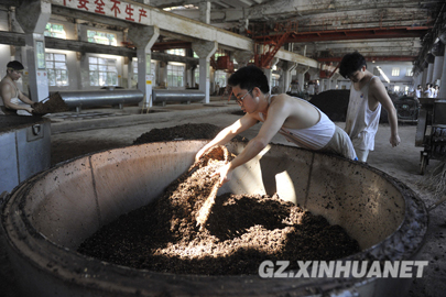 8月13日,茅台酒厂制酒工人在通过"上甄"工序制酒.