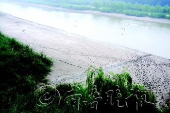 6·,԰鳴帽ĵ»ºӽг.