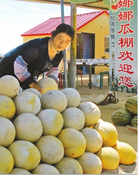 李辉在卖自家种的甜瓜   在阿勒泰市国营二牧场路边卖瓜的瓜摊中,停车