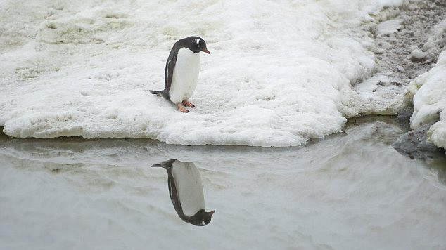 众泰董事长吴建中(2)