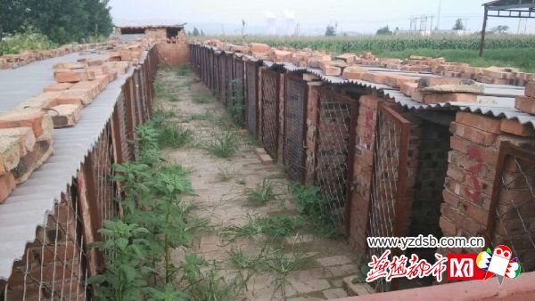 河北峰峰矿区农村出现专业