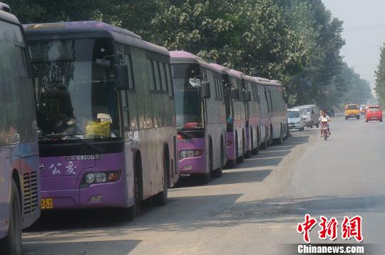 8月21日下午，12辆城乡公交“被”停留在安阳公交案事发地，这些公交车和事发公交车属于同一线路　王中举　摄