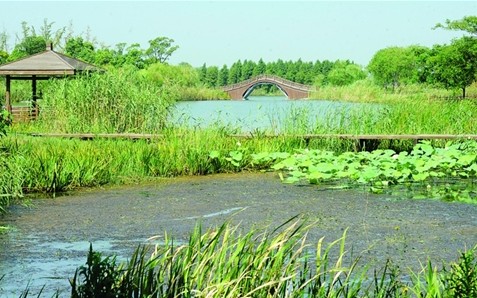 "苏式一夏fun假期"去太湖湿地公园"驾"房车-苏州高新