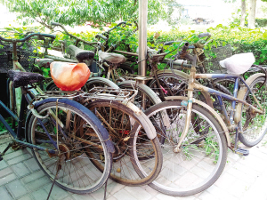小区废旧自行车难清理(图)