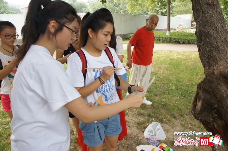 专访河北树洞画女孩王月:艺术可以让城市变得