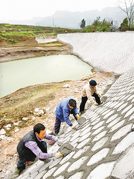 近日,石柱下路镇高平村中坝组山坪塘整治工地,工人在护坡上贴六棱块.