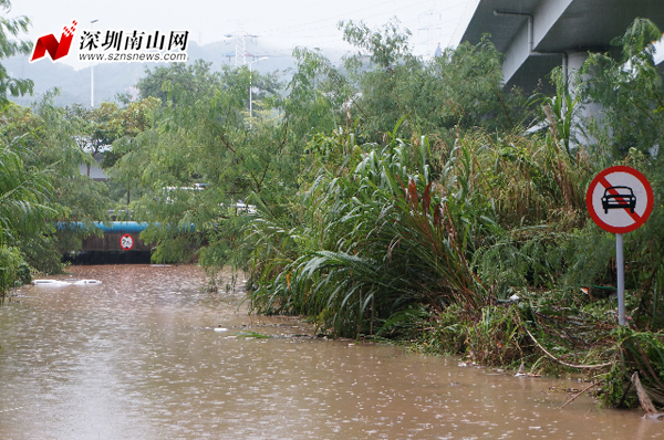 深圳女司机暴雨中在涵洞溺亡 记者还原救援过
