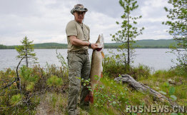 俄罗斯总统普京曾钓上一条重21公斤的狗鱼。