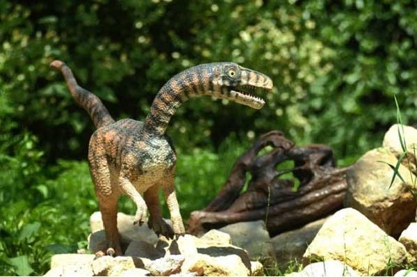 十大恐龙美人:秀颌龙世界最小的恐龙\/图