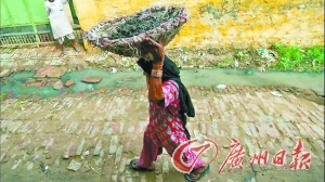 印度立法严禁徒手淘粪