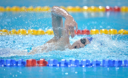 图文:男子1500米自由泳预赛 杨之贤在比赛