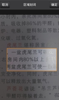 拍照识别率100%的翻译软件拍拍易