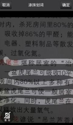 拍照识别率100%的翻译软件拍拍易-搜狐IT