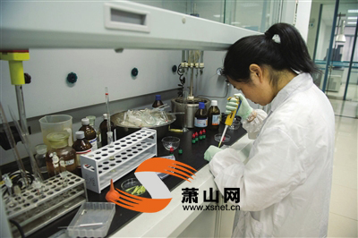 食品检测员正在为月饼样本做微生物检测。记