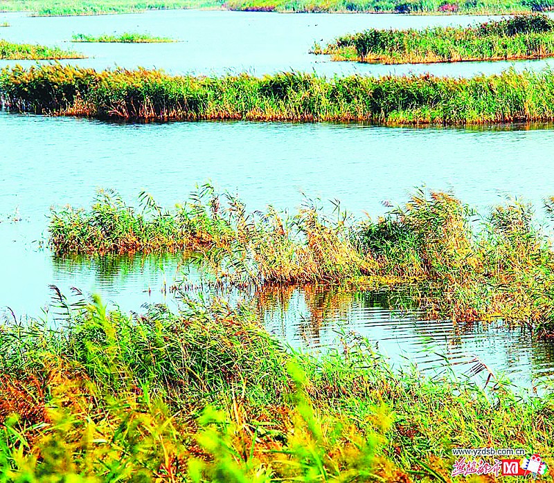 来到风景秀丽的渤海湾西岸 海兴县摄影采风,大海,湿地,盐田以及各种