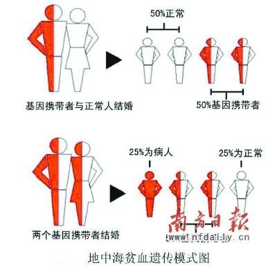 广东12个欠发达地市设立地中海贫血筛查分中心