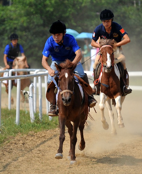 图文:广西举办首届马术公开赛 一马当先