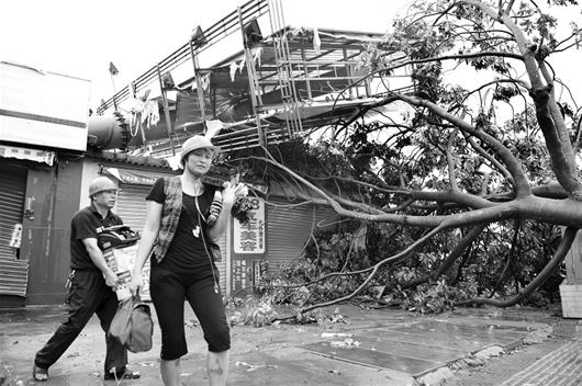 图为：23日，在汕尾市区，市民李先生的汽车修理店被倒下的大型广告牌和树木砸毁，李先生夫妇两人受轻伤，冒险从店里抢救物资。 （新华社发）