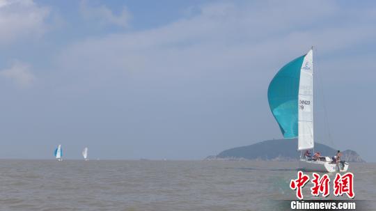 第二届全国大帆船邀请赛24日在浙江省舟山市开赛。图为参赛帆船在准备比赛。　张素　摄