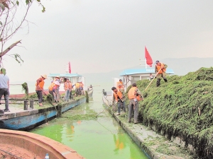 昆明有多少人口_云南将于10月全程启动阳宗海环湖截污工程(2)