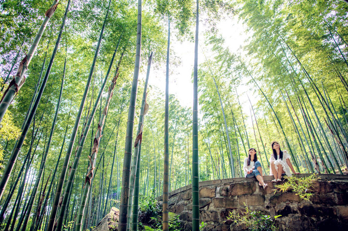 今秋国庆节永川给福利(图)茶山竹海新华网旅游频道9月