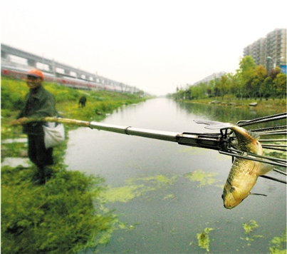 让河道成为家门口的公园 捕鱼捞虾最高要罚2000元(图)