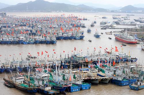 10月5日,在浙江舟山沈家门渔港,渔船纷纷归港避风.