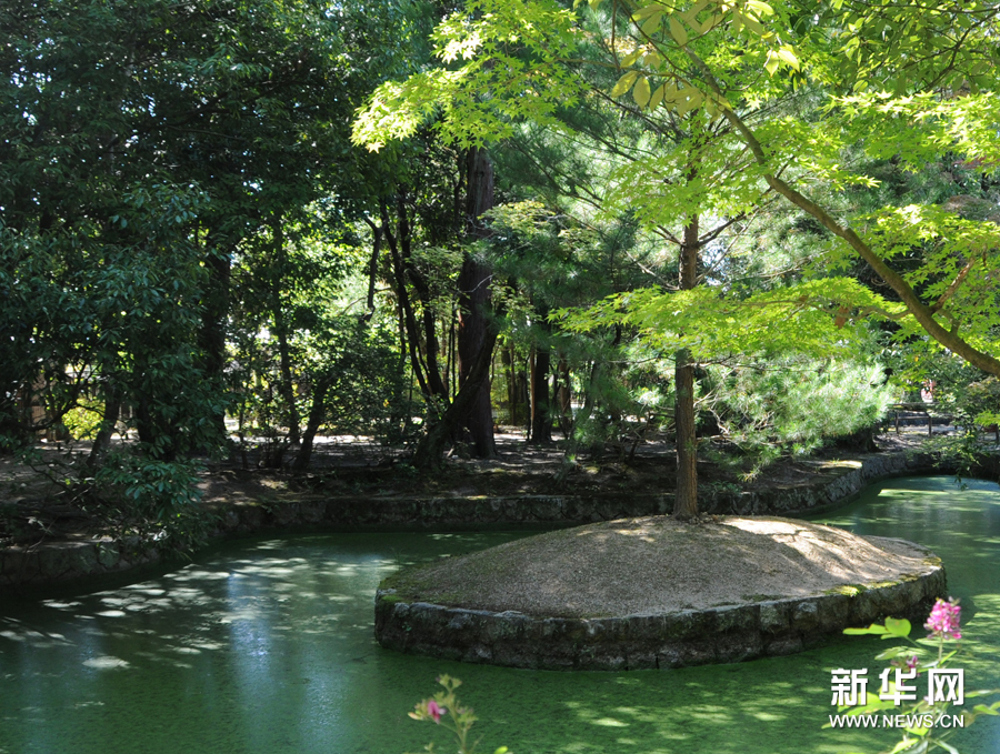 唐招提寺内一景 新华社记者马兴华摄