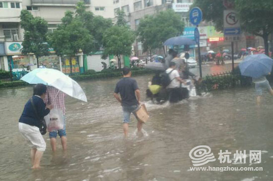 杭州网滚动播报台风菲特暴雨天交通出行信息