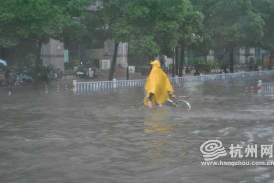 杭州网滚动播报台风菲特暴雨天交通出行信息