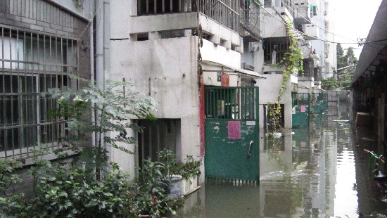 积水致九莲新村一楼被淹 插座进水不敢