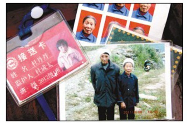 奶奶罩住遇马蜂袭击孙女被蜇肿 转院途中去世(组图)