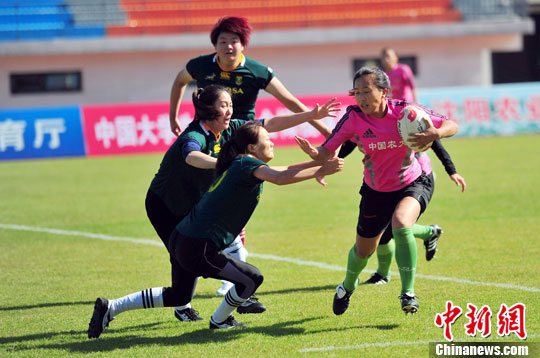 2013年中国大学生7人制橄榄球锦标赛在沈阳举行(图)