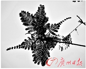 ý_ѺѶ    Ϊѧ滭ƽ,ճ