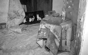离家出走期间,姐弟俩曾在这里住过