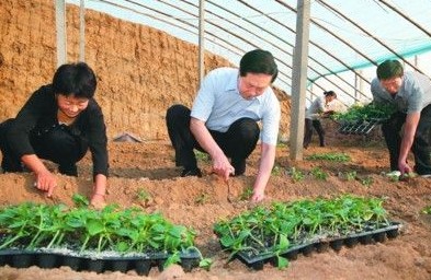 10月12日至14日,省委书记张宝顺深入萧县白土镇费村驻村