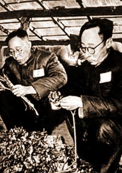 1959年大赦前,溥仪,溥杰在抚顺战犯管理所劳动改造