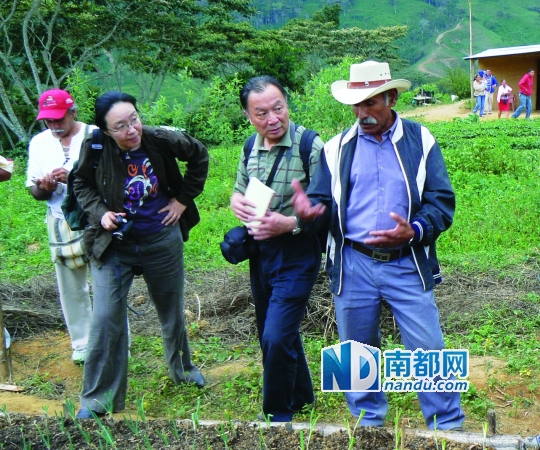 戴锦华:以电影学为“根据地”,在“游击战”中拓宽学术疆域