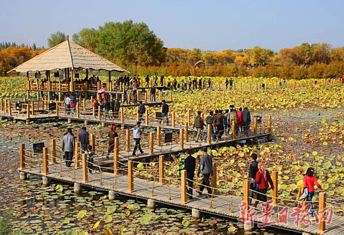 10月18日,游客在泽普县金湖杨景区休闲游览(朱明俊)