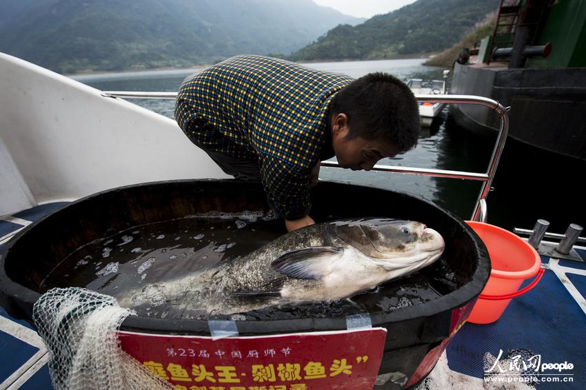 最大剁椒鱼头长沙出锅 菜盘直径近1.7米