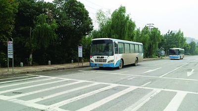 (图 龙虎网讯 今年10月1日起,南京公交车,出租车"礼让斑马线"行动