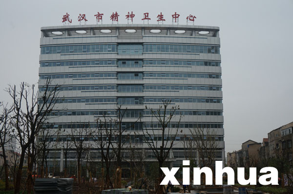 新华网独家专访武汉市精神卫生中心院长程五福