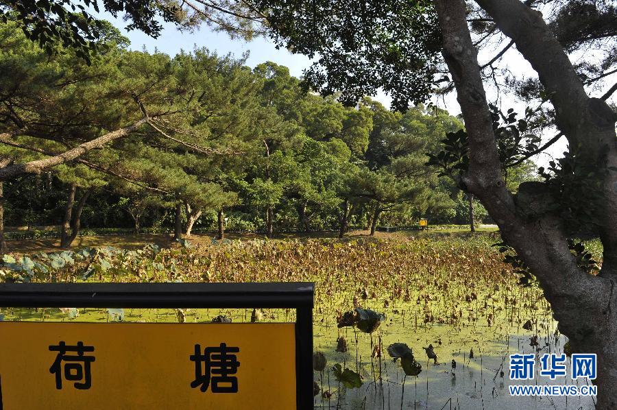 行摄台湾清华大学(组图)