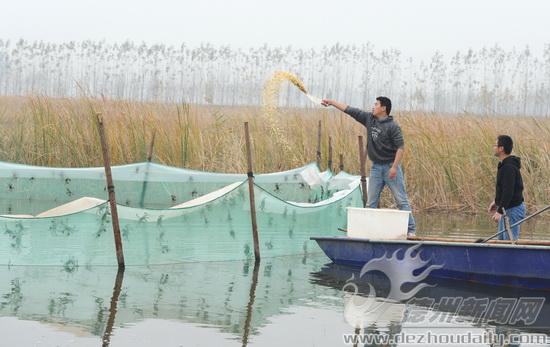 黄河养育了多少人口_70亿吨黄河水 如何用好每一滴