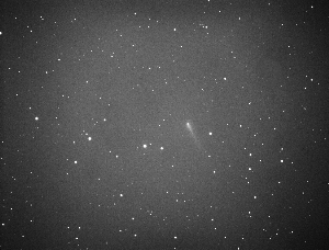 　陈韬近日拍摄到的“艾森”彗星